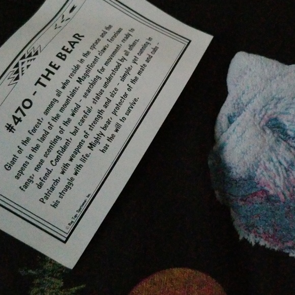 Native American Indian T-shirts - Picture 2 of 3